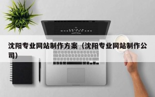 射阳沈阳专业网站制作方案（沈阳专业网站制作公司）